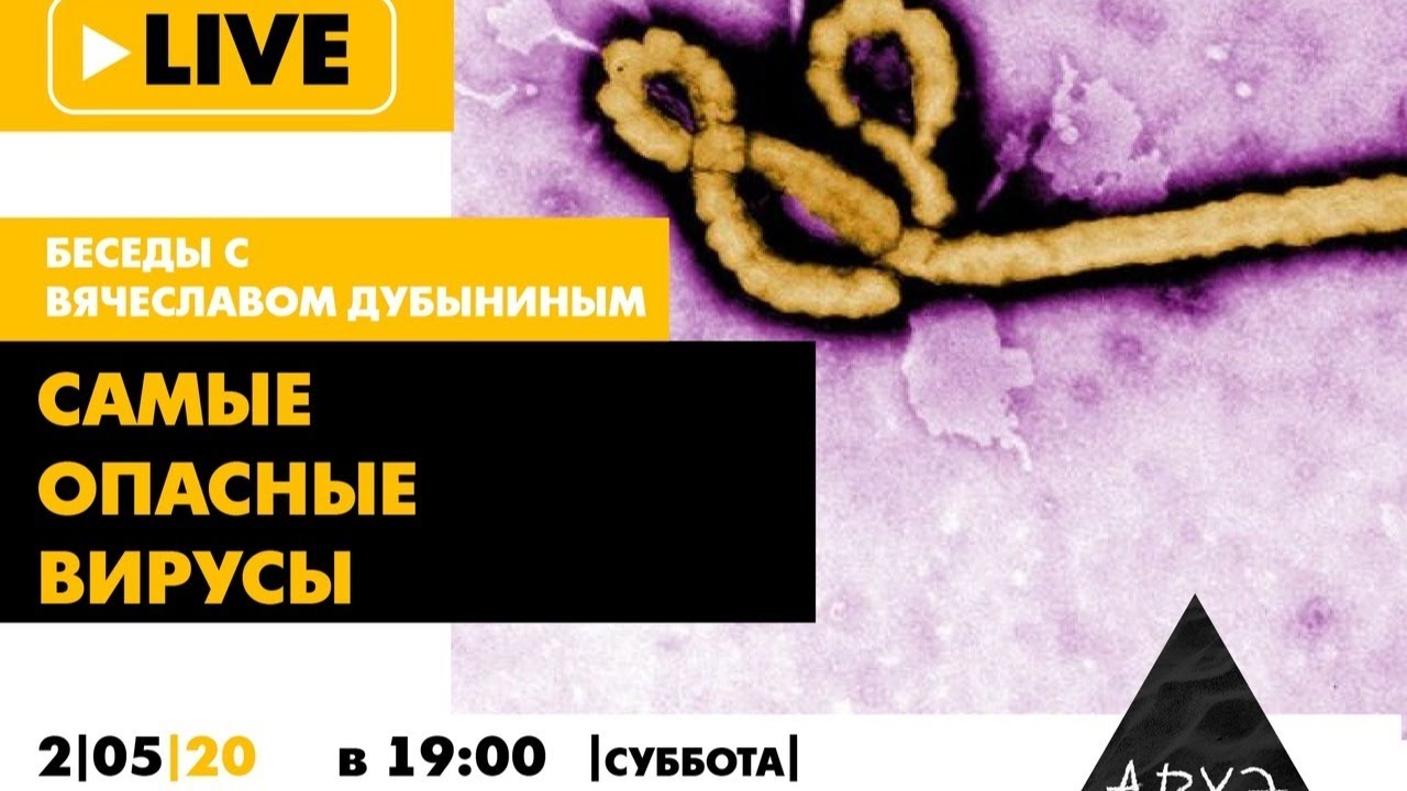 [Вячеслав Дубынин] Самые опасные вирусы (оспа, Эбо_0.jpg